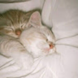 Meet your Posher, Zara